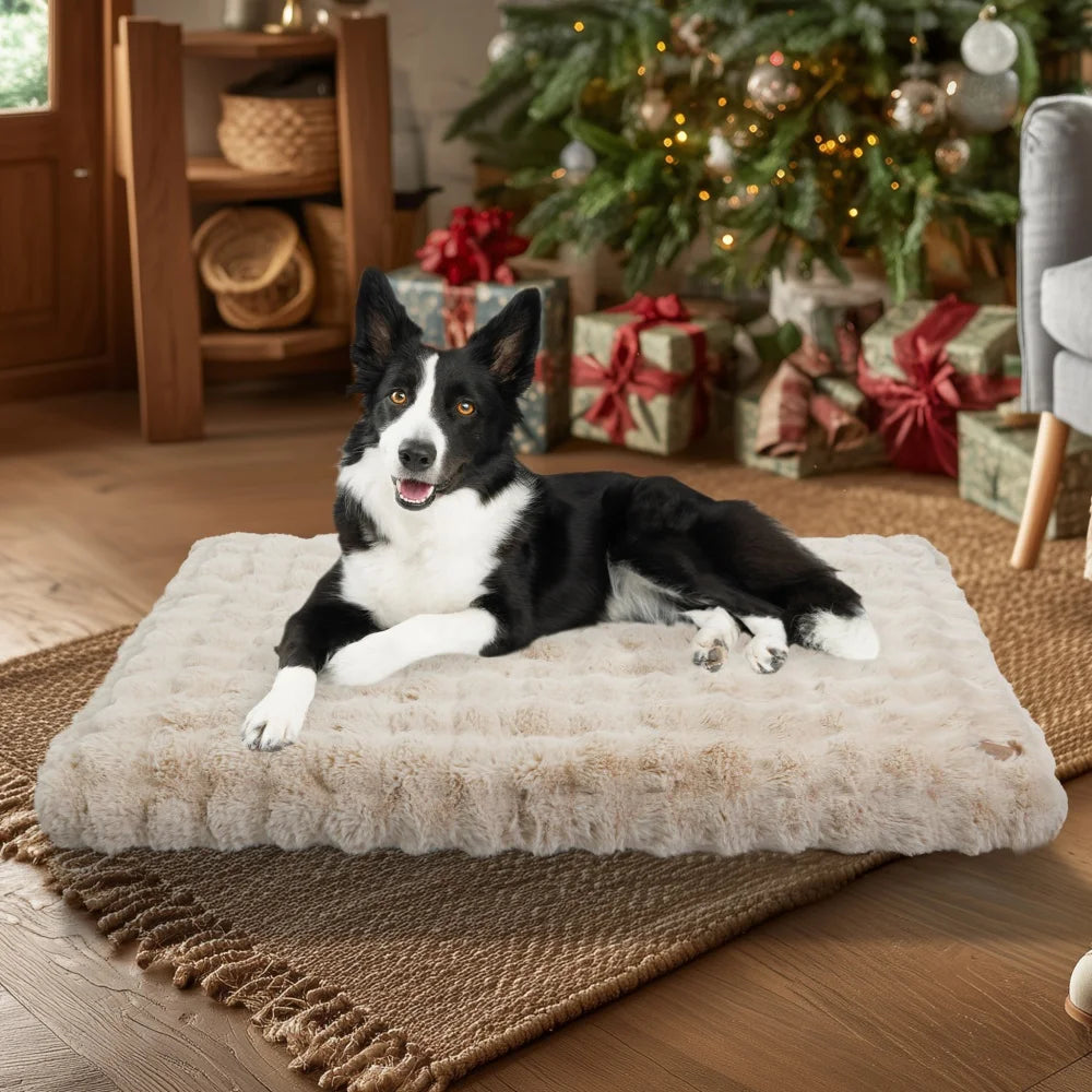 Plush Dog Bed