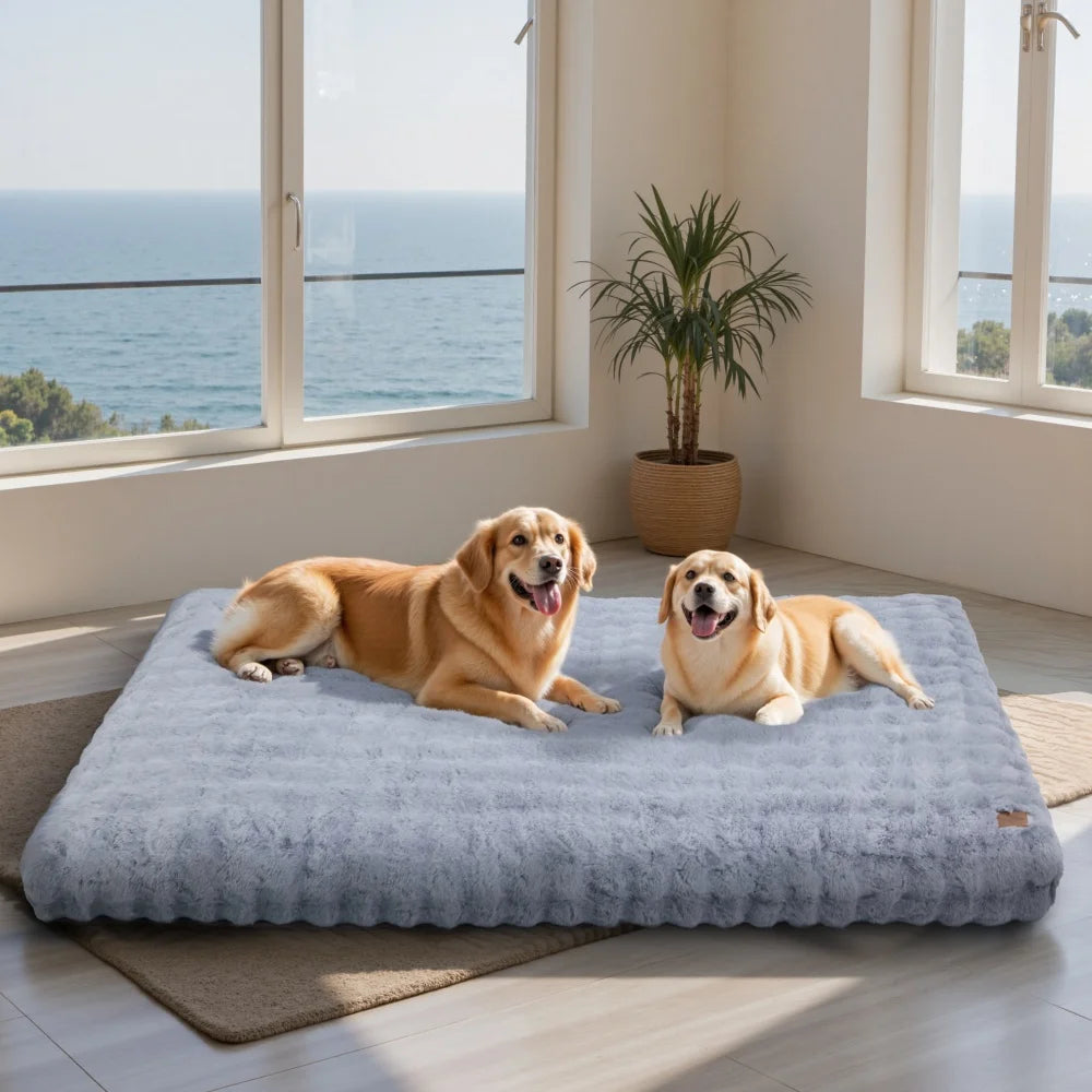 Plush Dog Bed