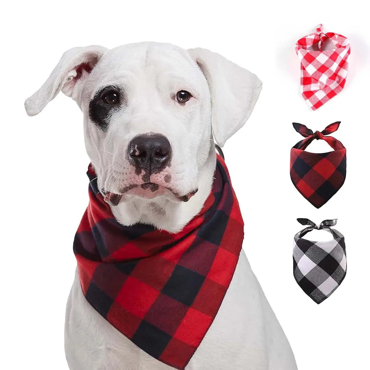 Red & Black Plaid Dog Bandana