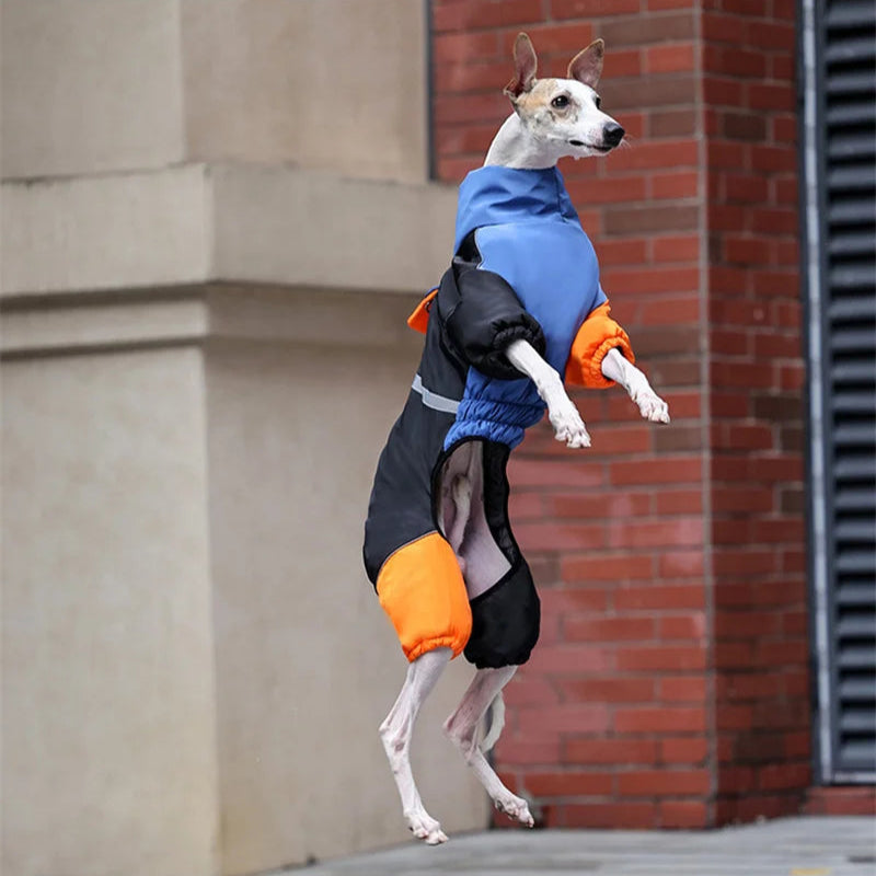 Reflective Windproof Dog Winter Jacket