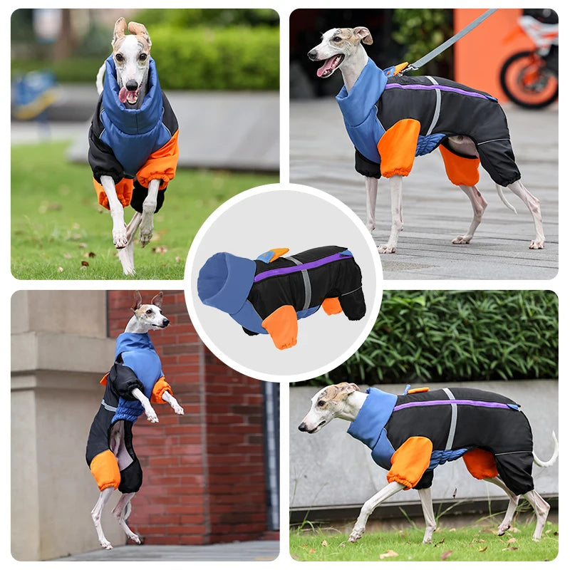 Reflective Windproof Dog Winter Jacket