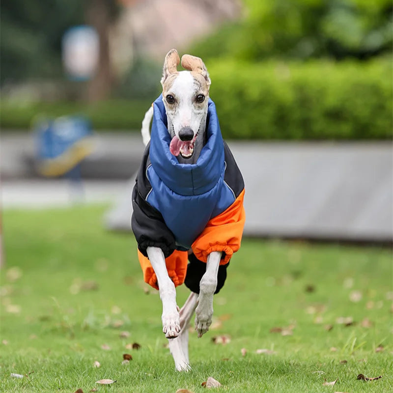 Reflective Windproof Dog Winter Jacket