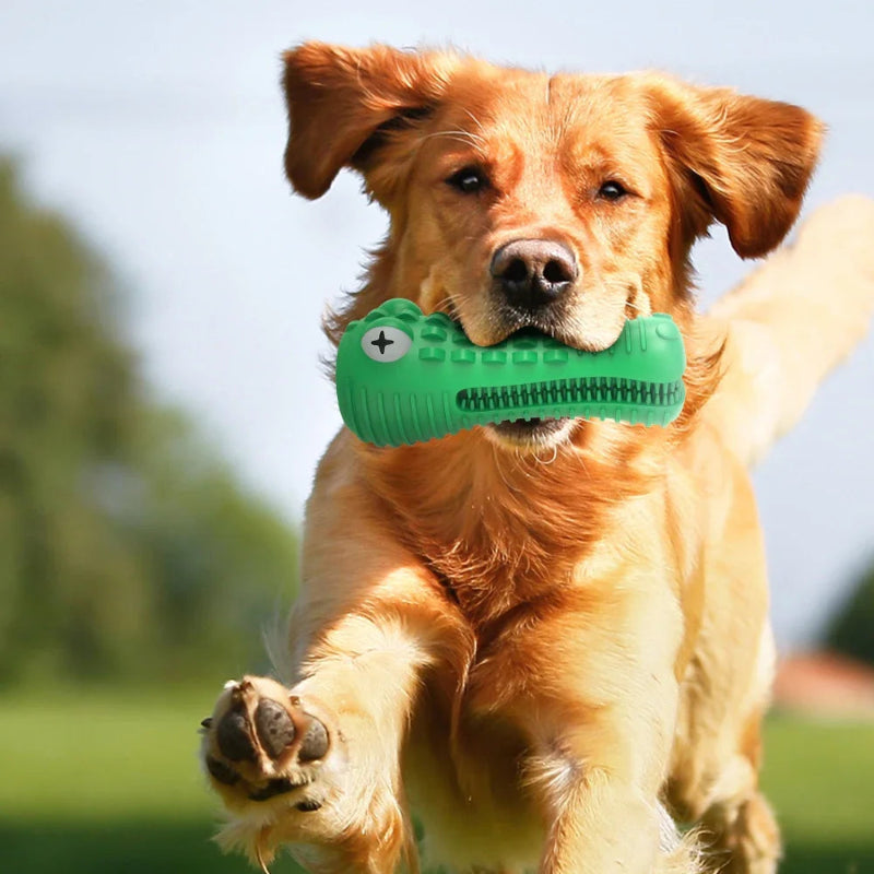 Rubber Chew Toy for Aggressive Chewers