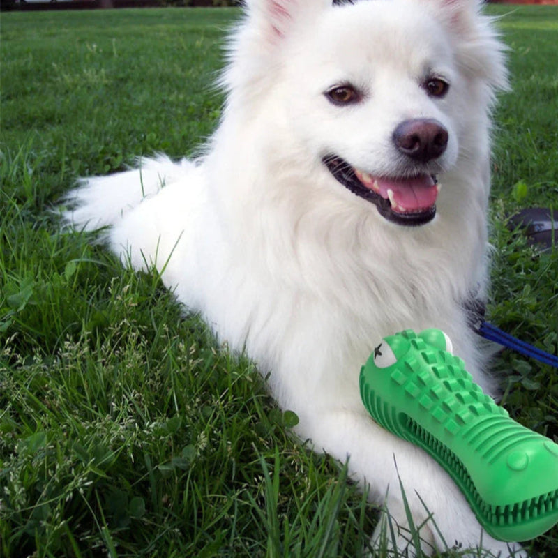 Rubber Chew Toy for Aggressive Chewers