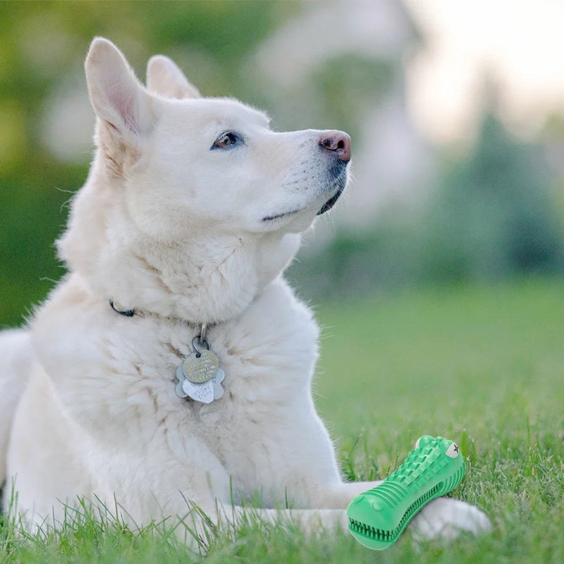 Rubber Chew Toy for Aggressive Chewers