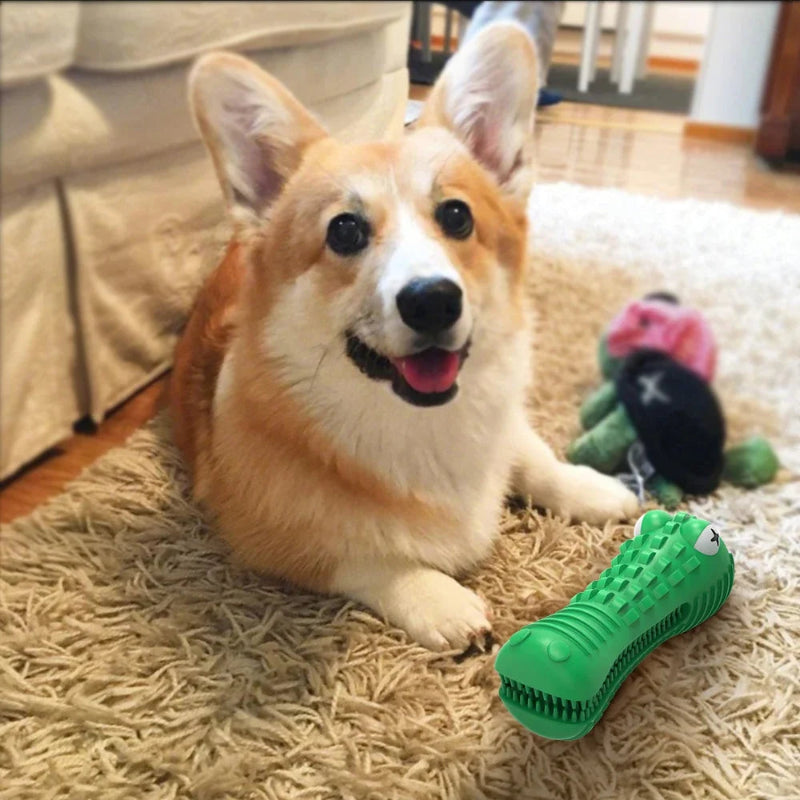 Rubber Chew Toy for Aggressive Chewers