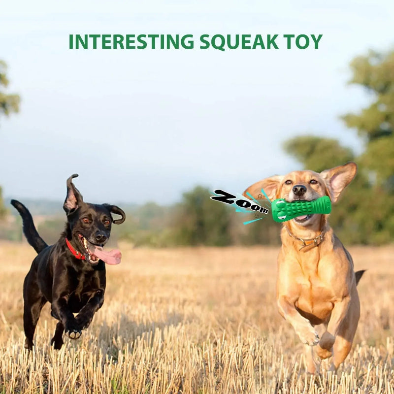 Rubber Chew Toy for Aggressive Chewers