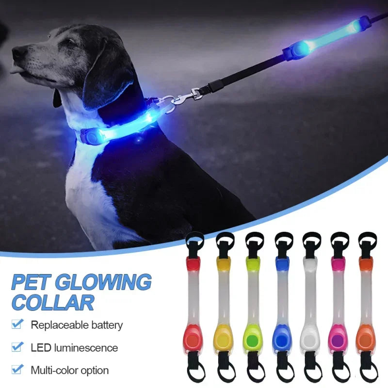 Glowing Dog Collar