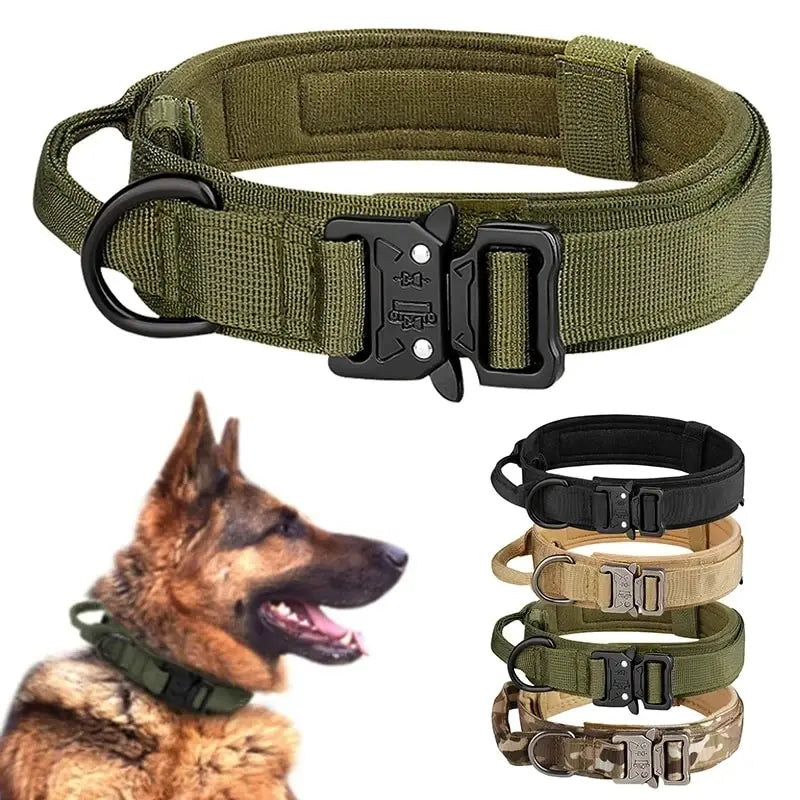 Collier tactique pour chien