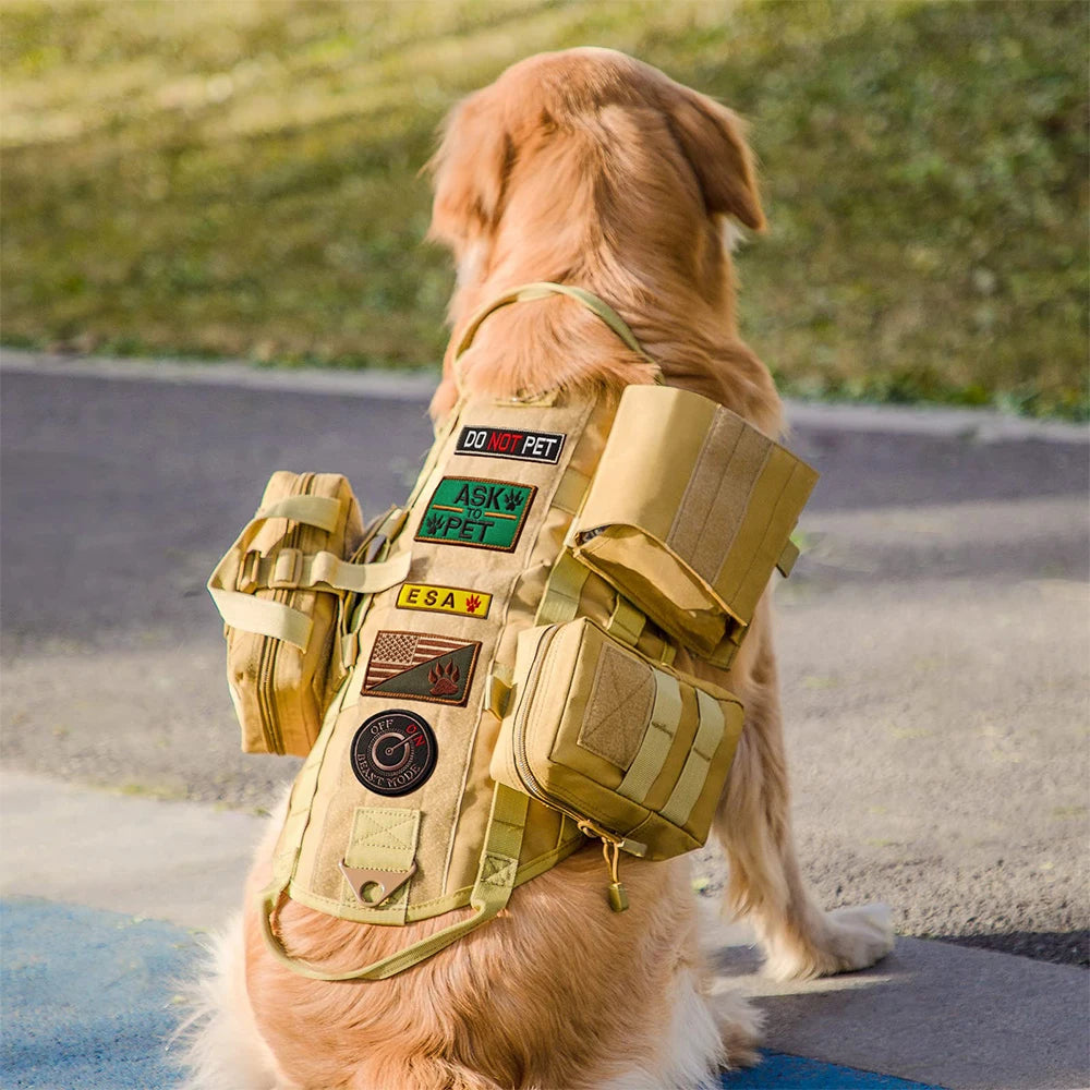 Harnais tactique pour chien