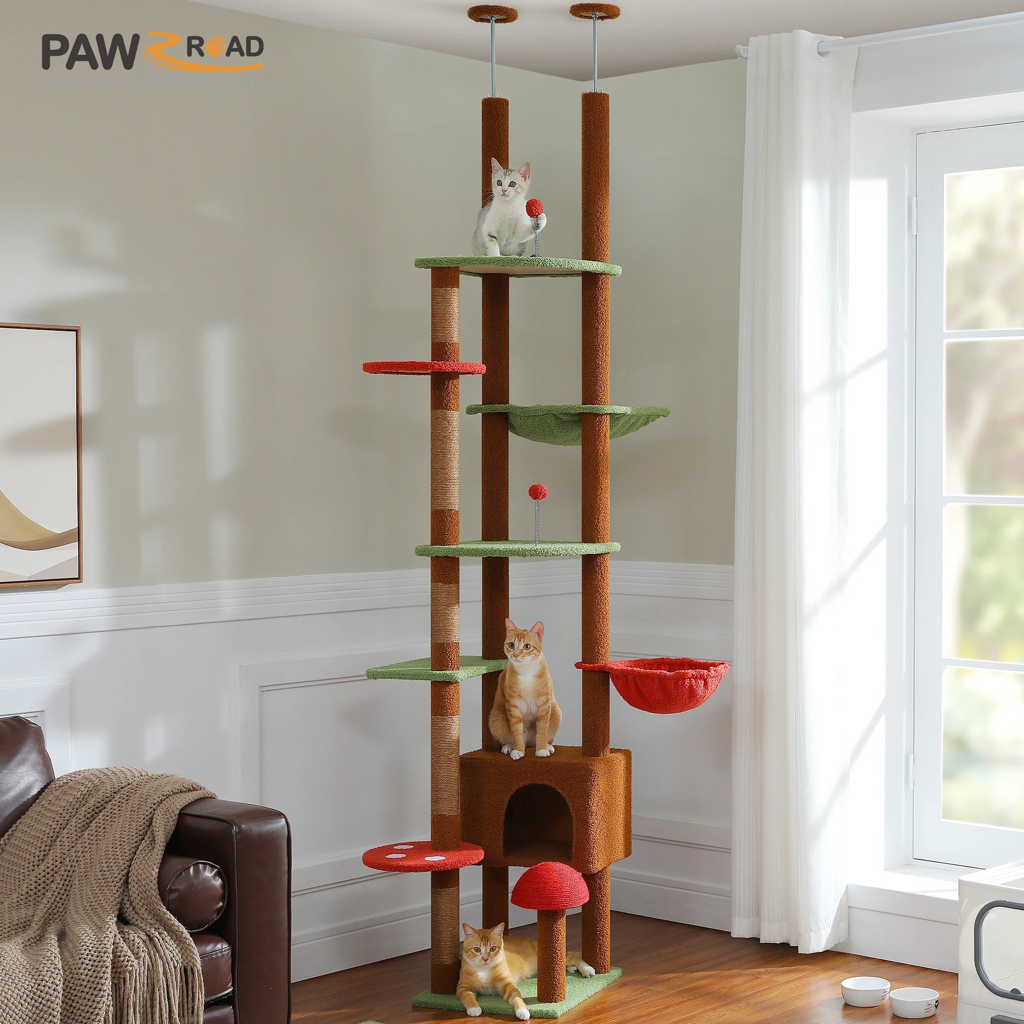 Arbre à chat ajustable du sol au plafond