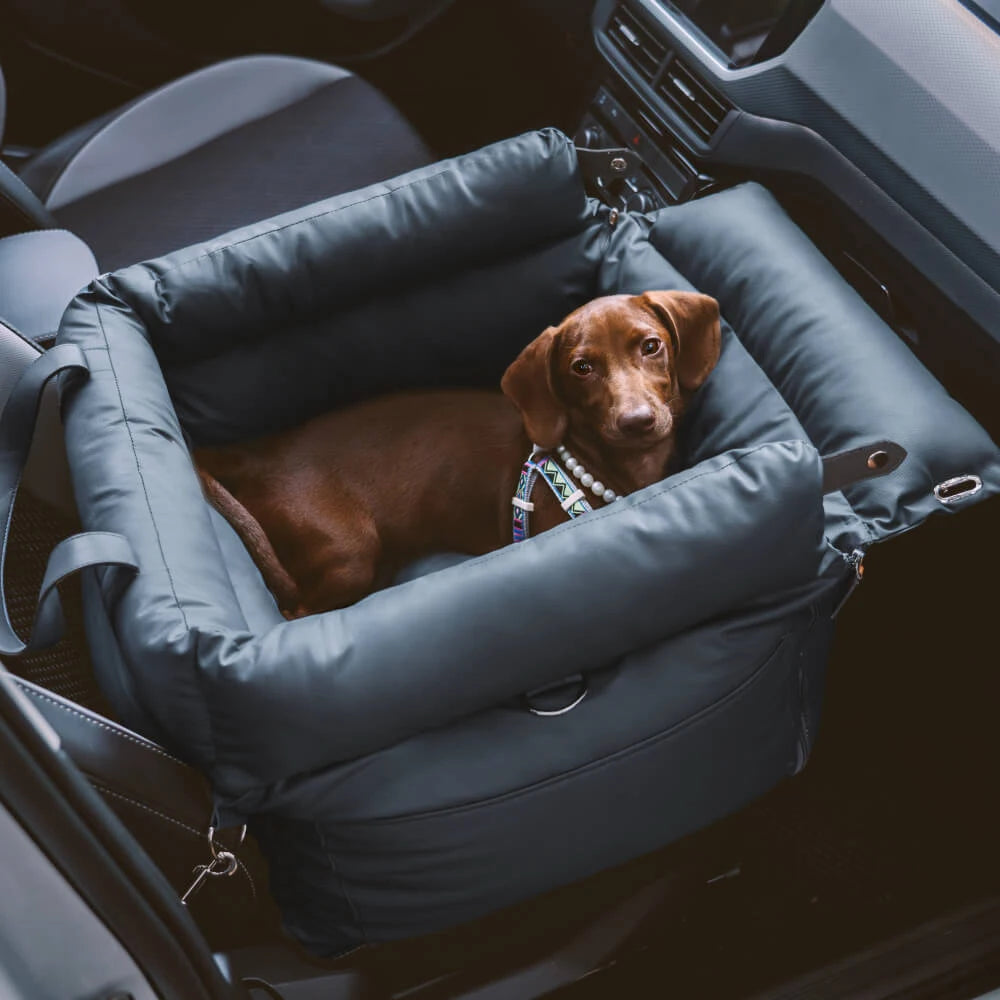 Siège auto animal