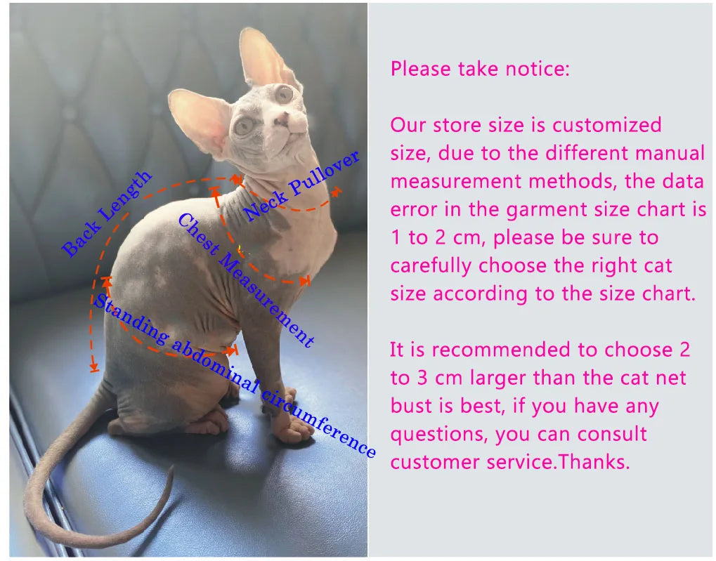 Sphynx Cat Sweater