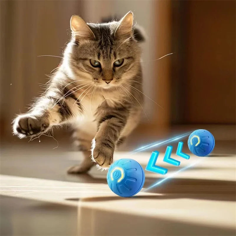 Balle intelligente pour chien