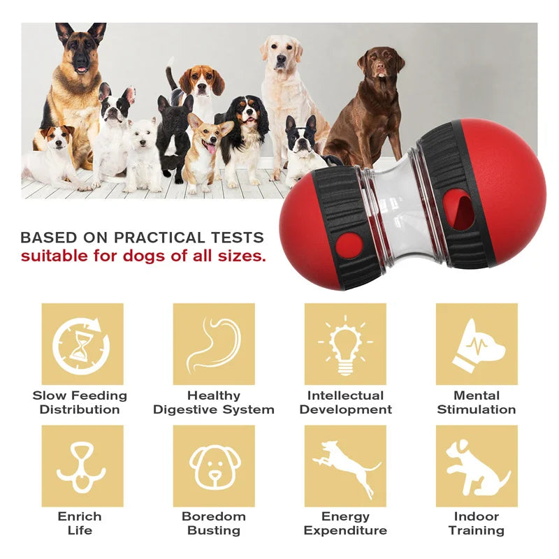 Jouet pour chien améliorant le QI