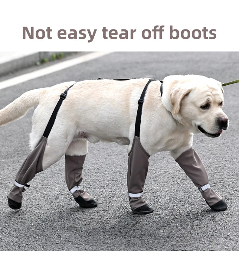 Chaussures imperméables pour chien