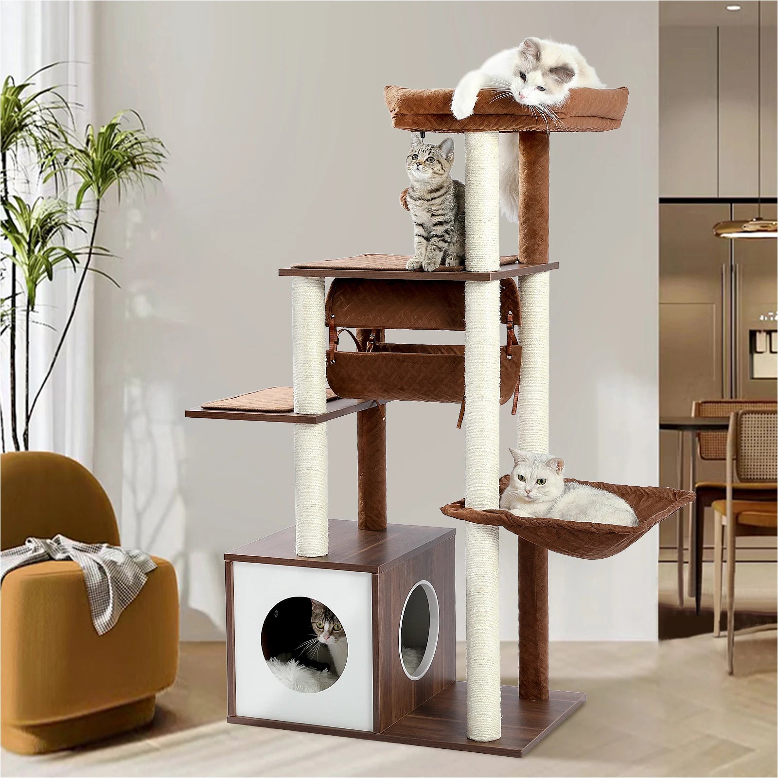 Arbre à chat moderne en bois