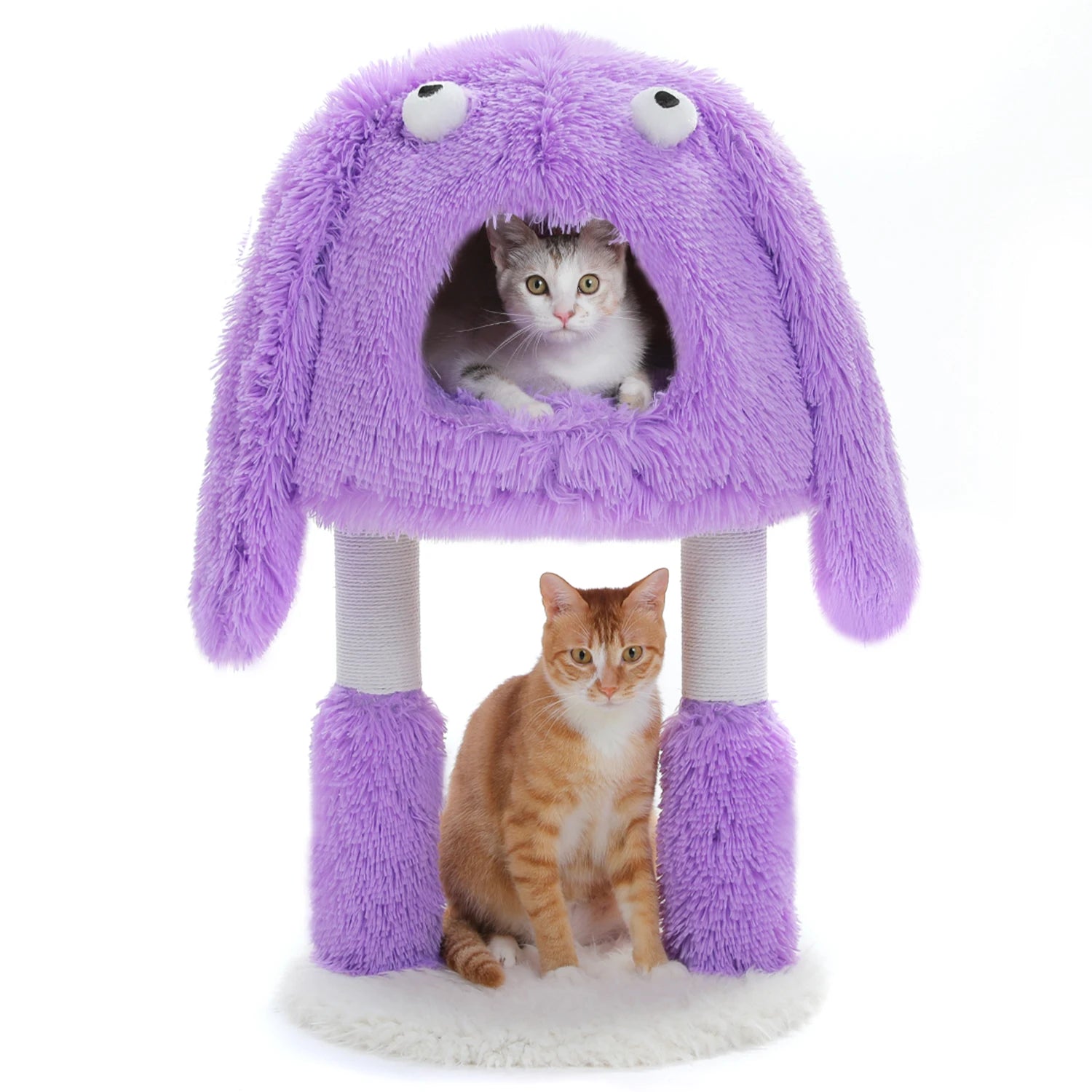 Arbre à chat 2-en-1