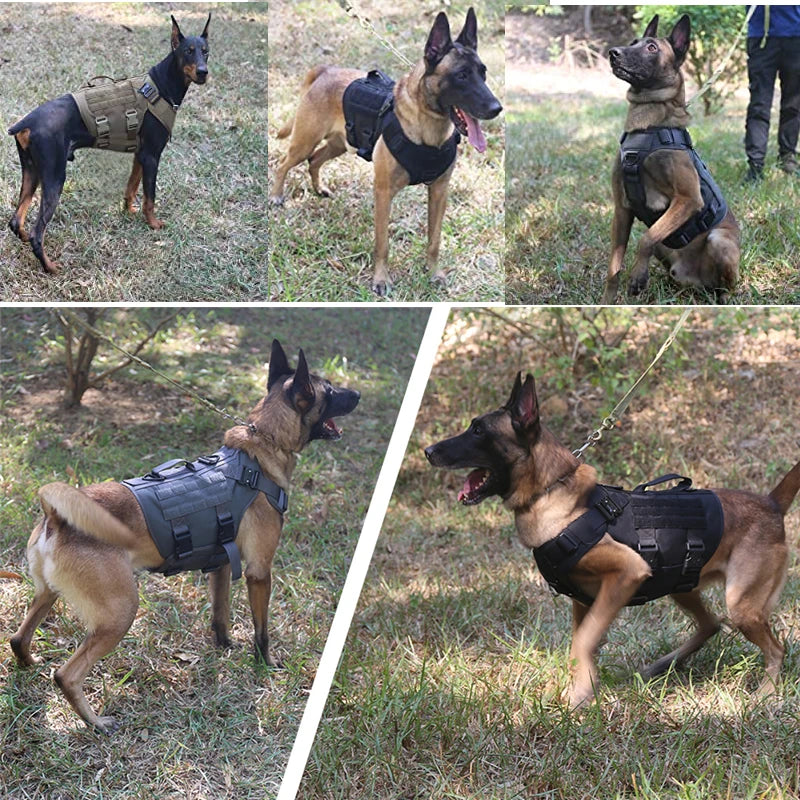 Harnais tactique militaire pour chien