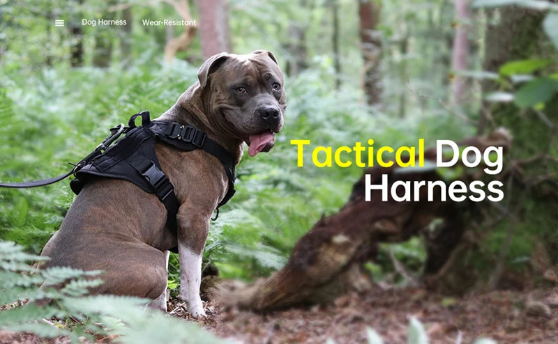 Harnais tactique militaire pour chien