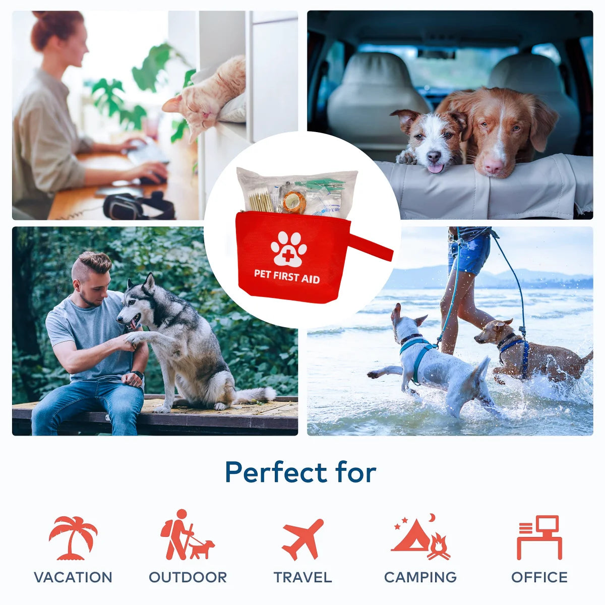 Kit premiers secours animaux