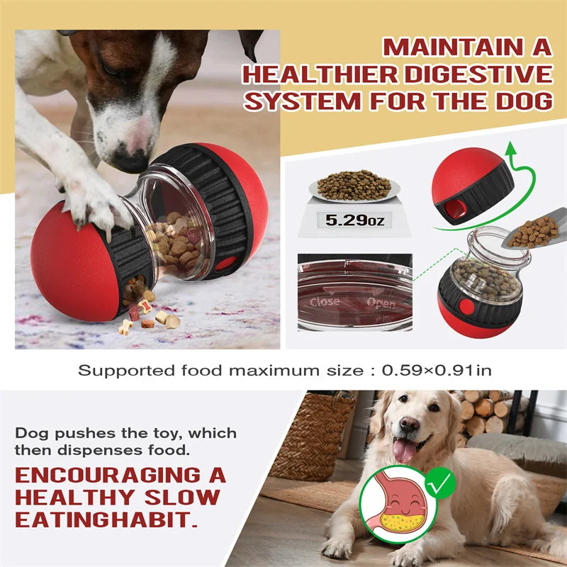 Jouet pour chien améliorant le QI