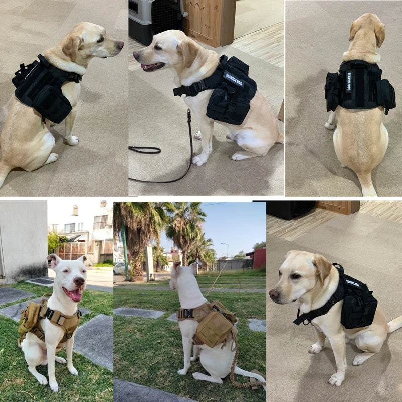 Harnais tactique militaire pour chien