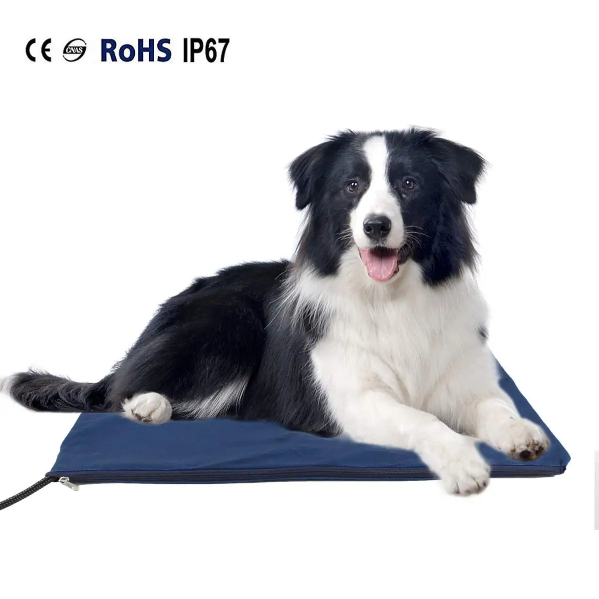 Coussin chauffant électrique pour chien