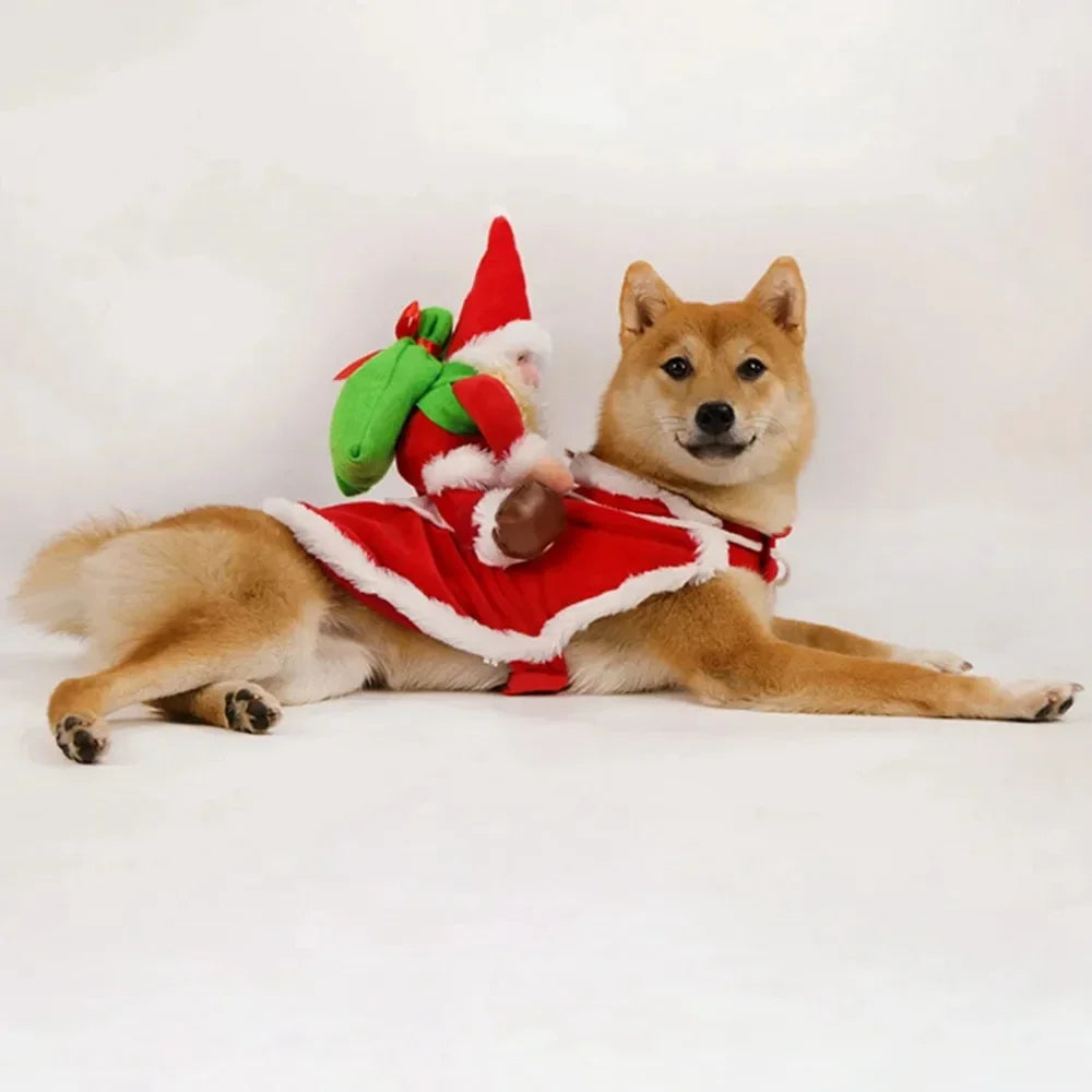 Santa Claus Christmas Dog Costume