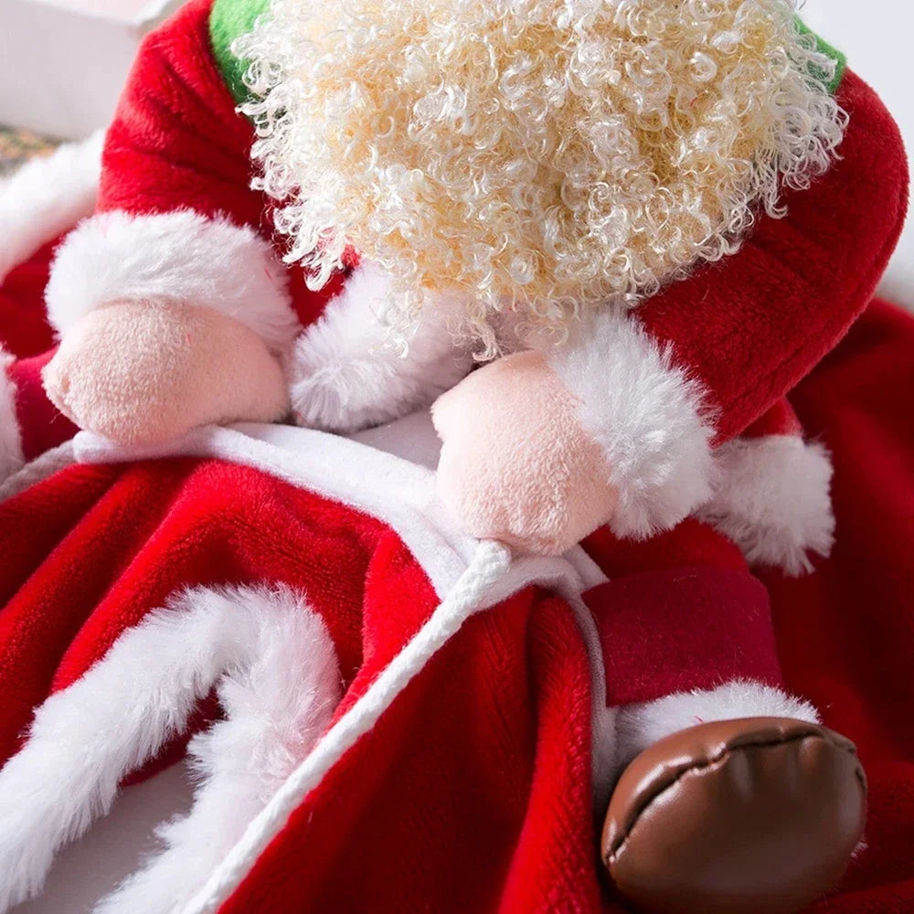 Santa Claus Christmas Dog Costume