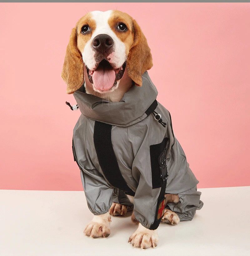 Grand imperméable pour chien