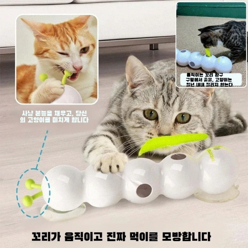 Jouet pour chat chenille autodivertissant avec plumes