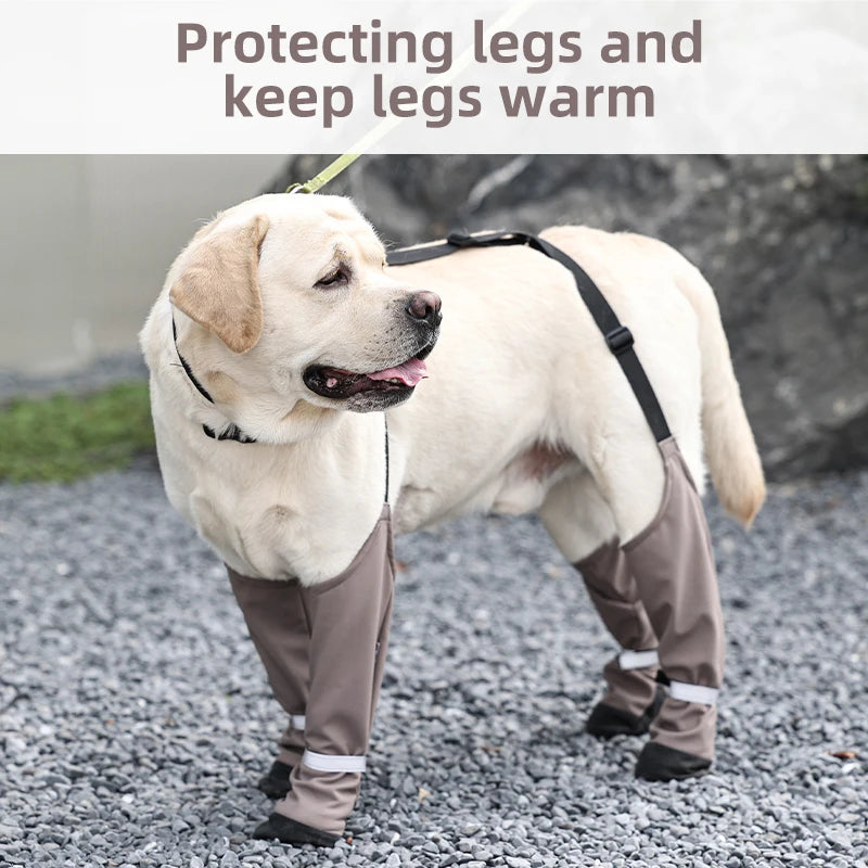 Chaussures imperméables pour chien