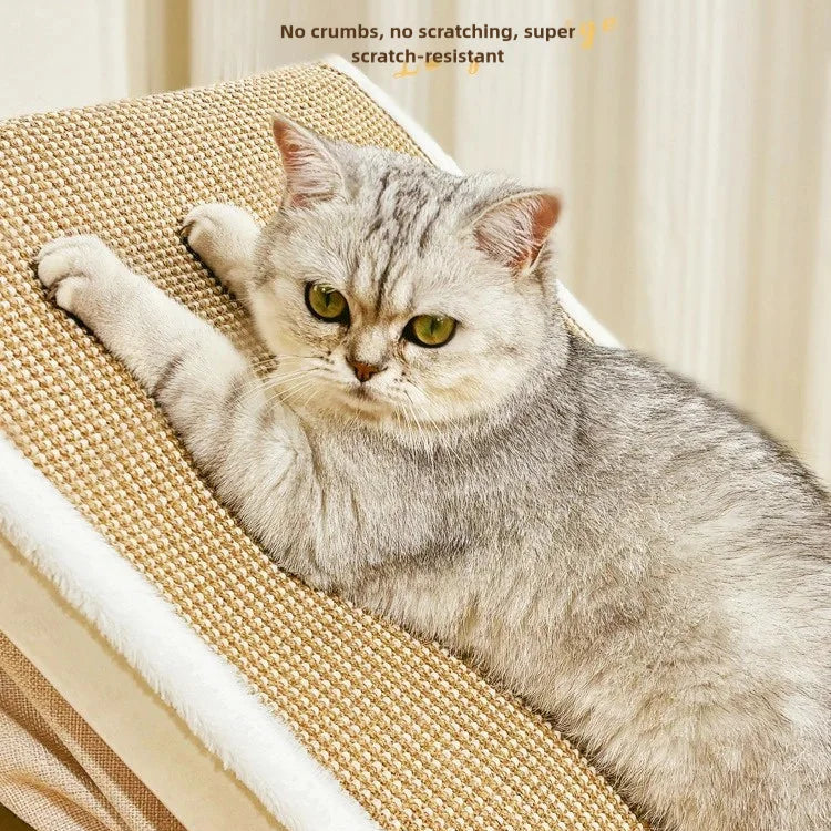 Semi-Enclosed Cat House with Scratcher