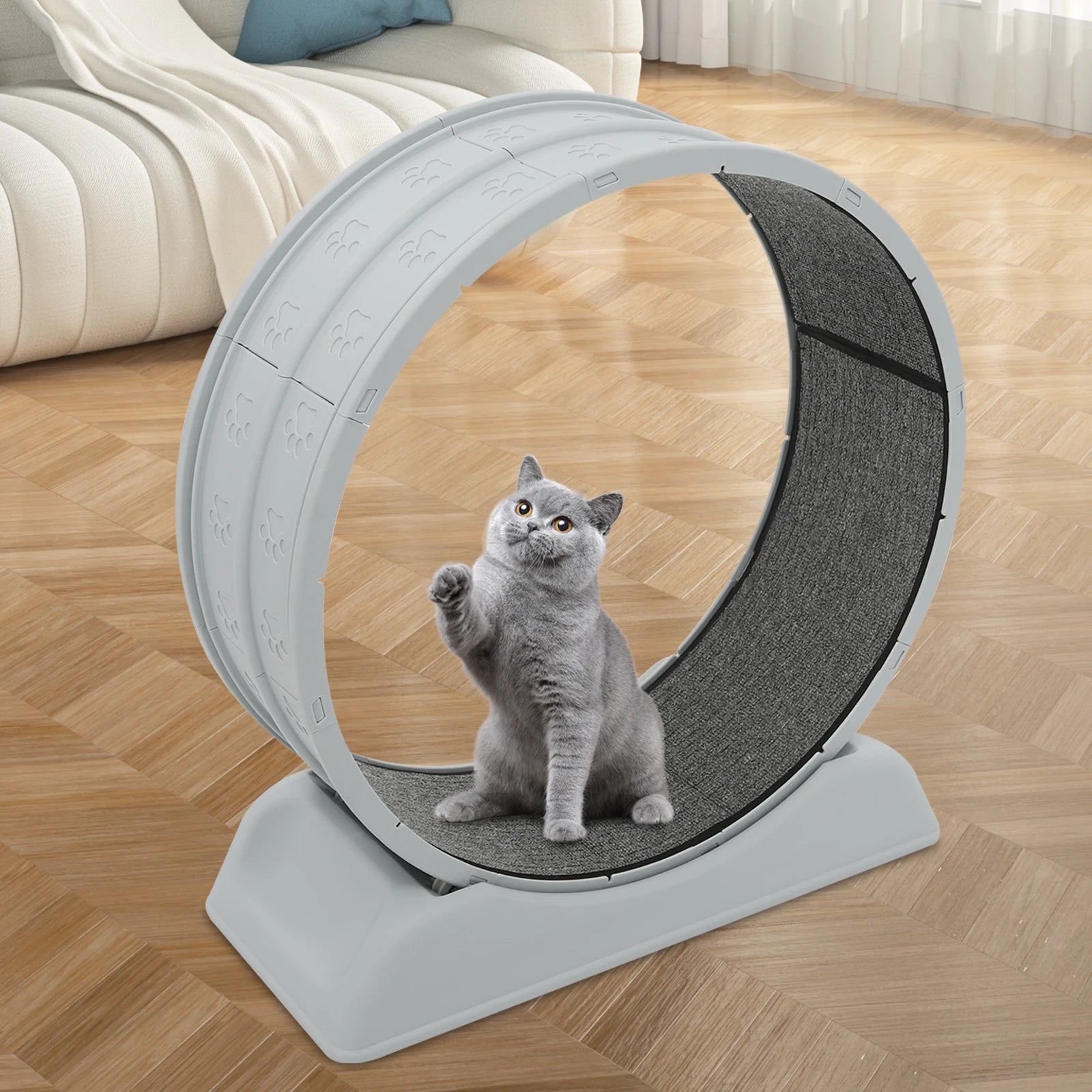 Silent Cat Running Wheel Treadmill