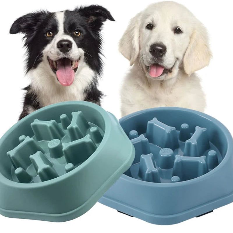 Slow Feeder Dog Bowl