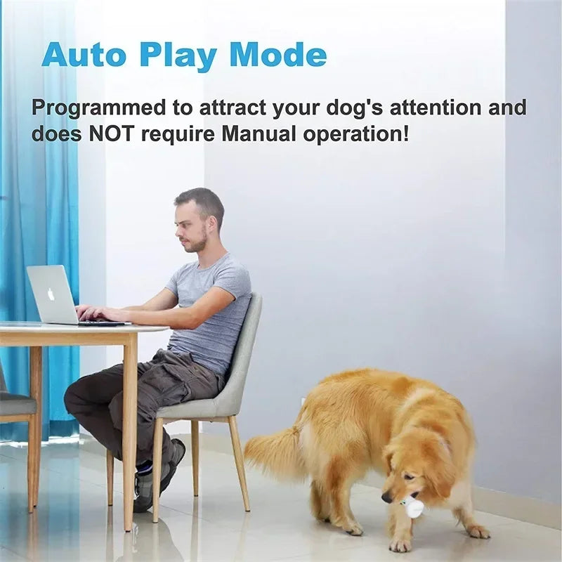 Smart Bone Toy
