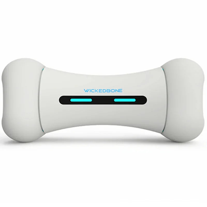Smart Bone Toy