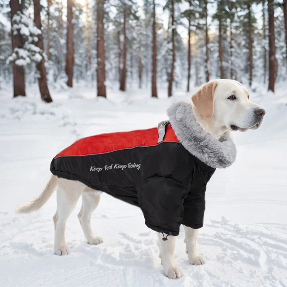 Thick Waterproof Warm Dog Coat with Fur Collar