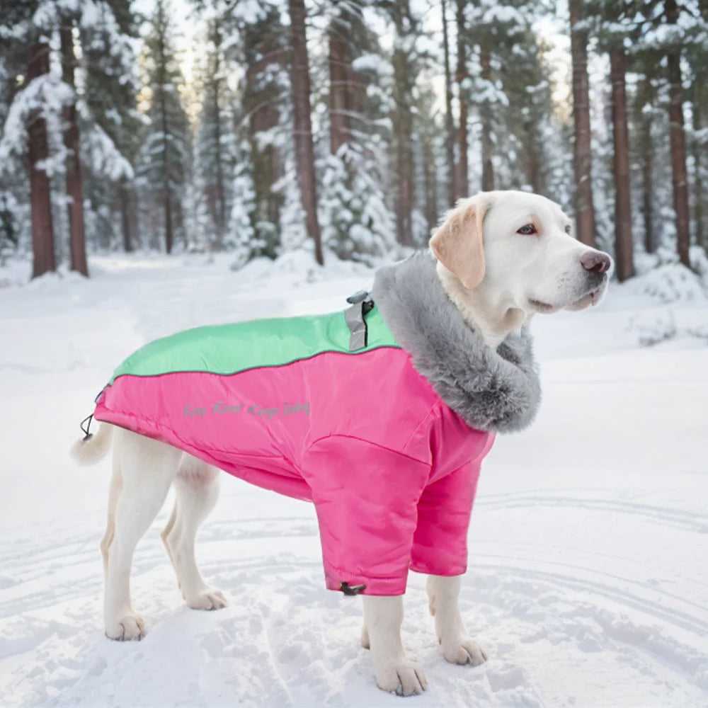 Thick Waterproof Warm Dog Coat with Fur Collar