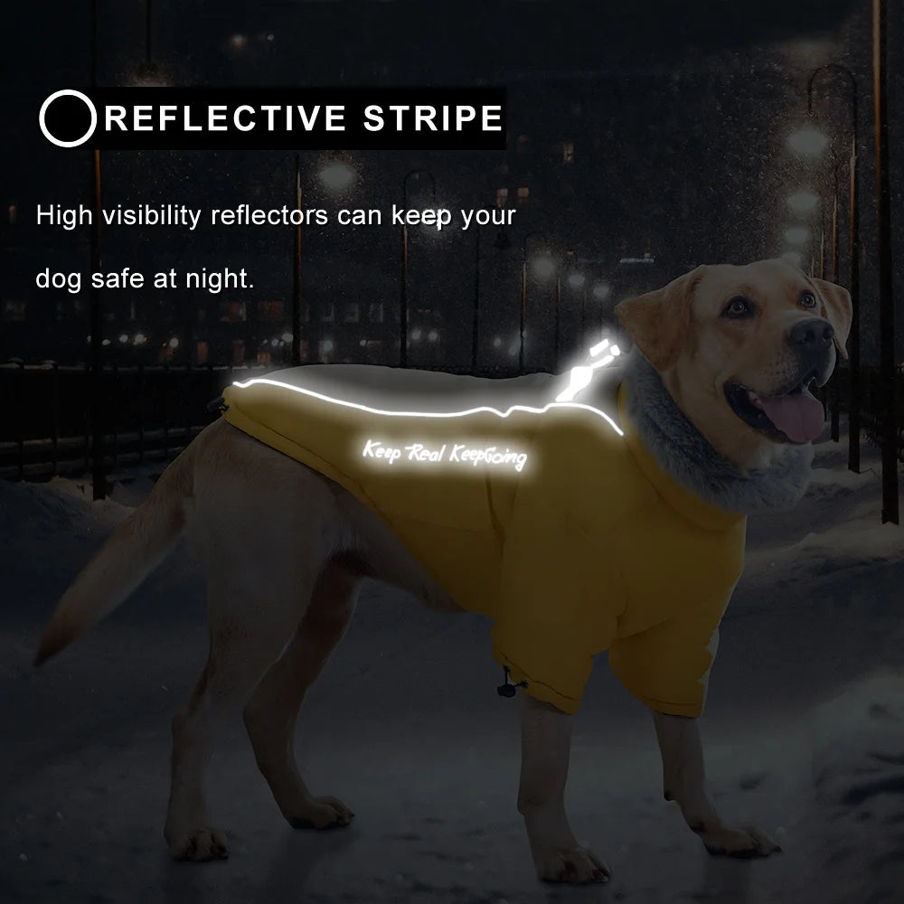 Thick Waterproof Warm Dog Coat with Fur Collar