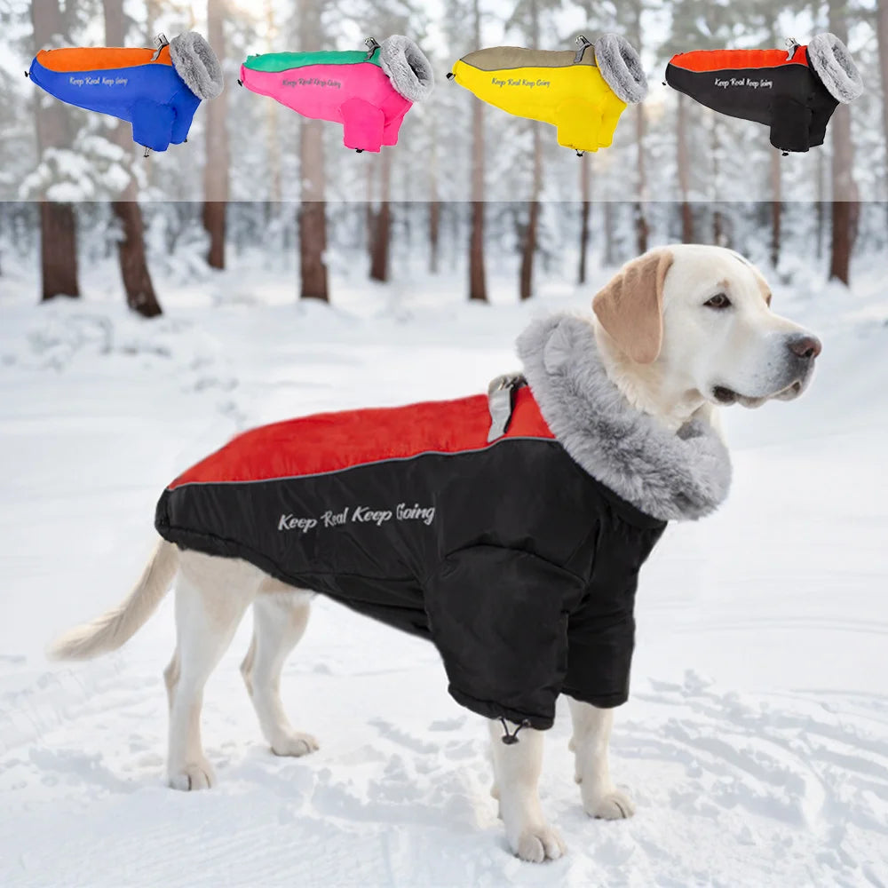 Thick Waterproof Warm Dog Coat with Fur Collar