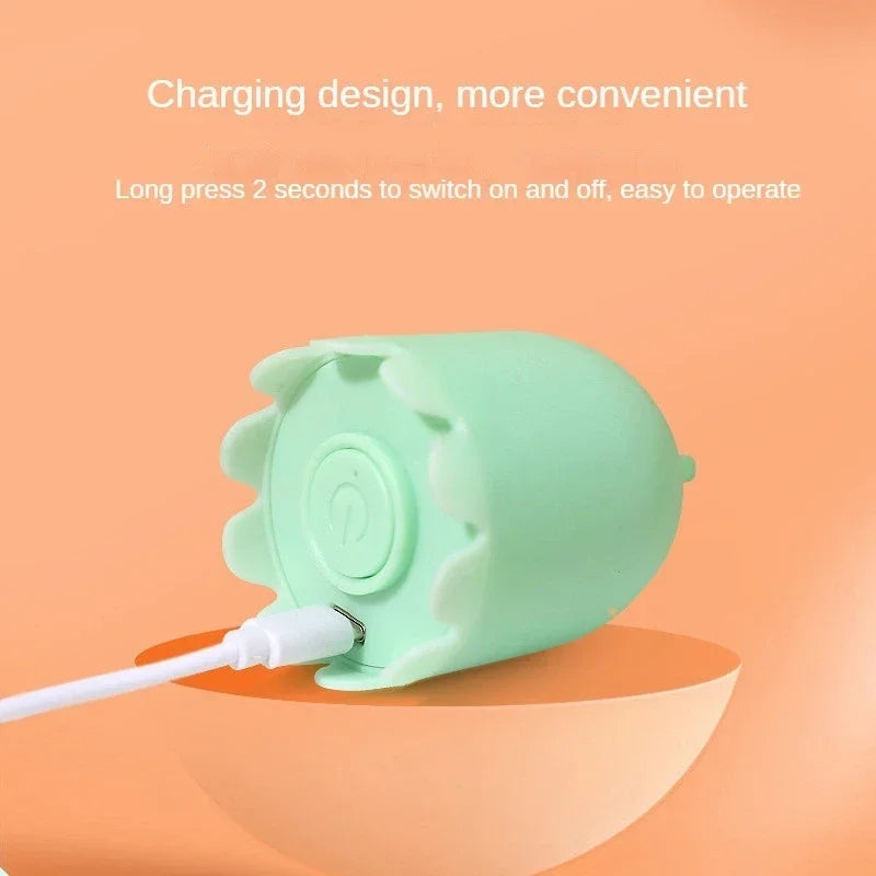 USB Rolling Interactive Cat Ball with Mouse Tail & Teaser Stick