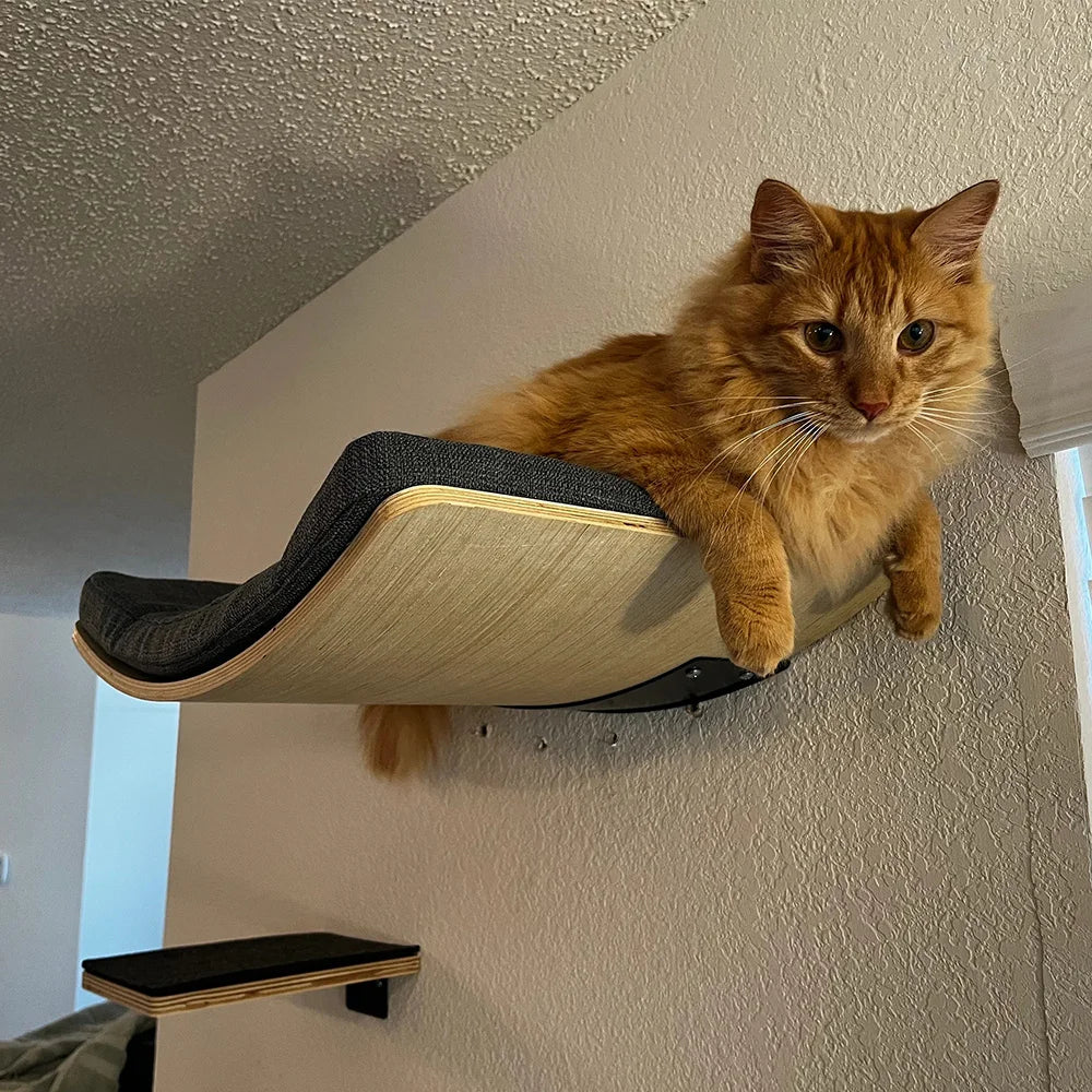 Wall-Mounted Cat Shelf Bed