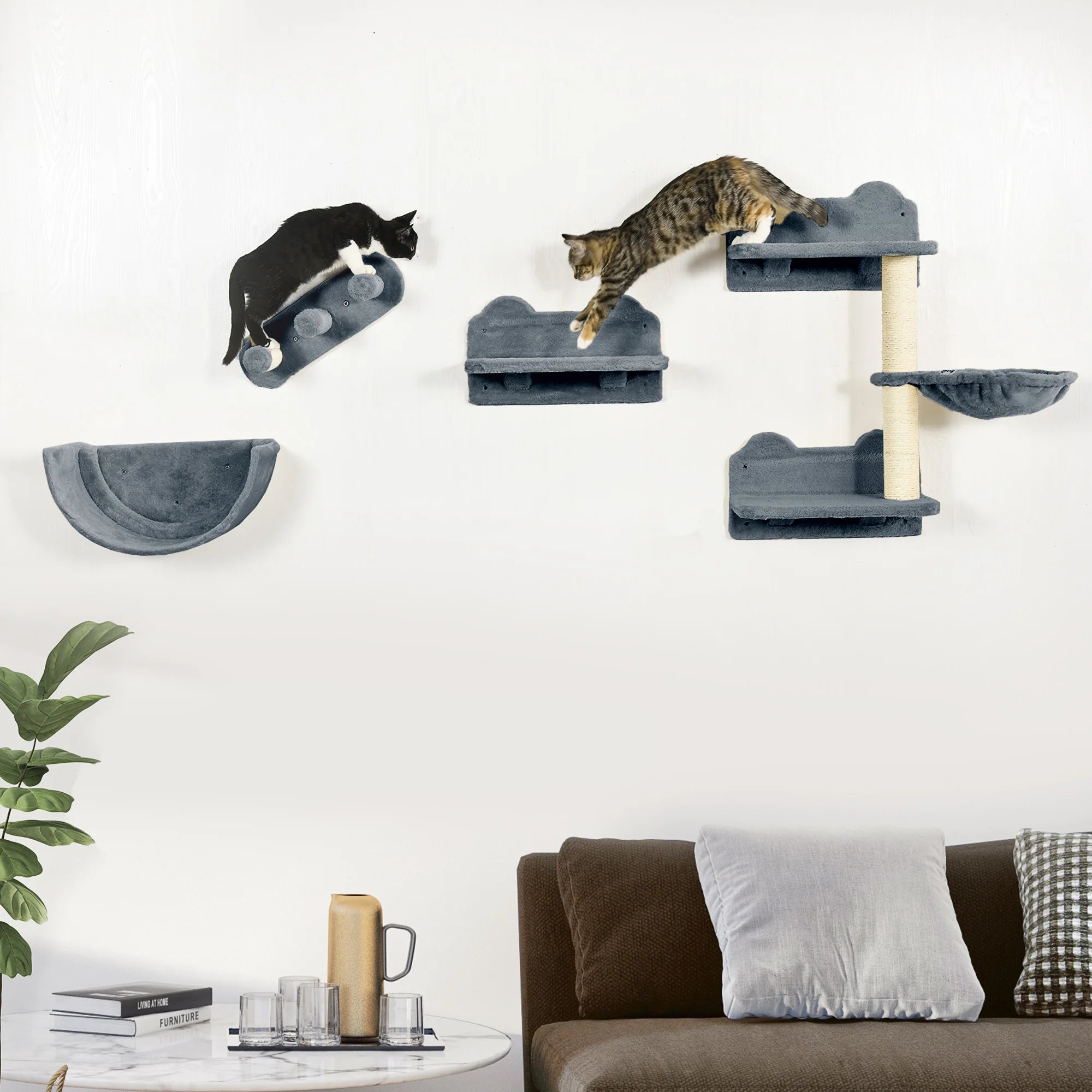 Wall Cat Climbing Rack