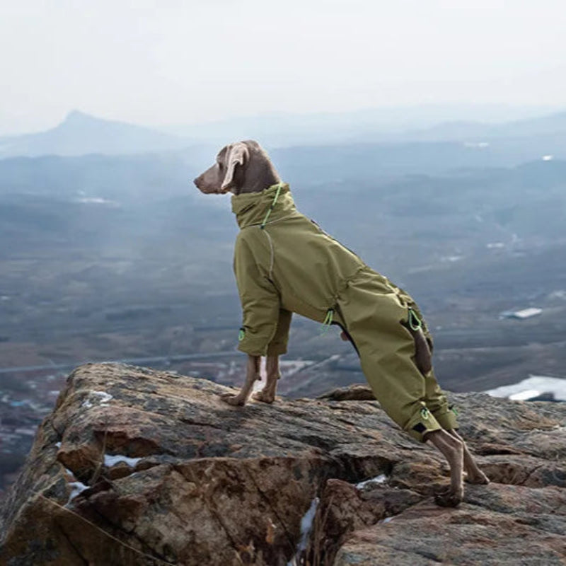 Waterproof Reflective 4-Leg Dog Jacket