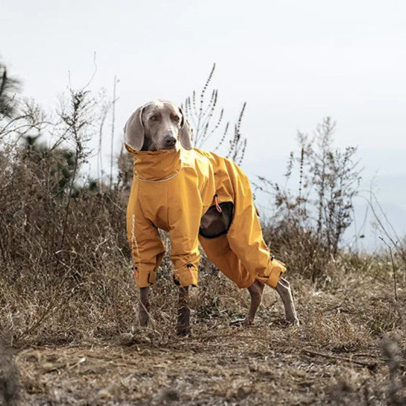 Waterproof Reflective 4-Leg Dog Jacket
