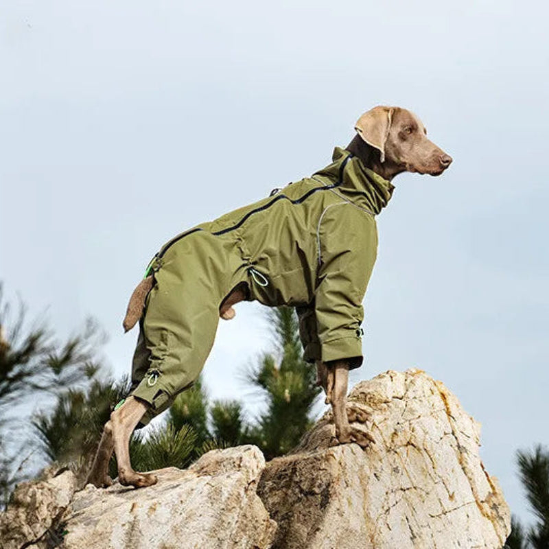 Waterproof Reflective 4-Leg Dog Jacket