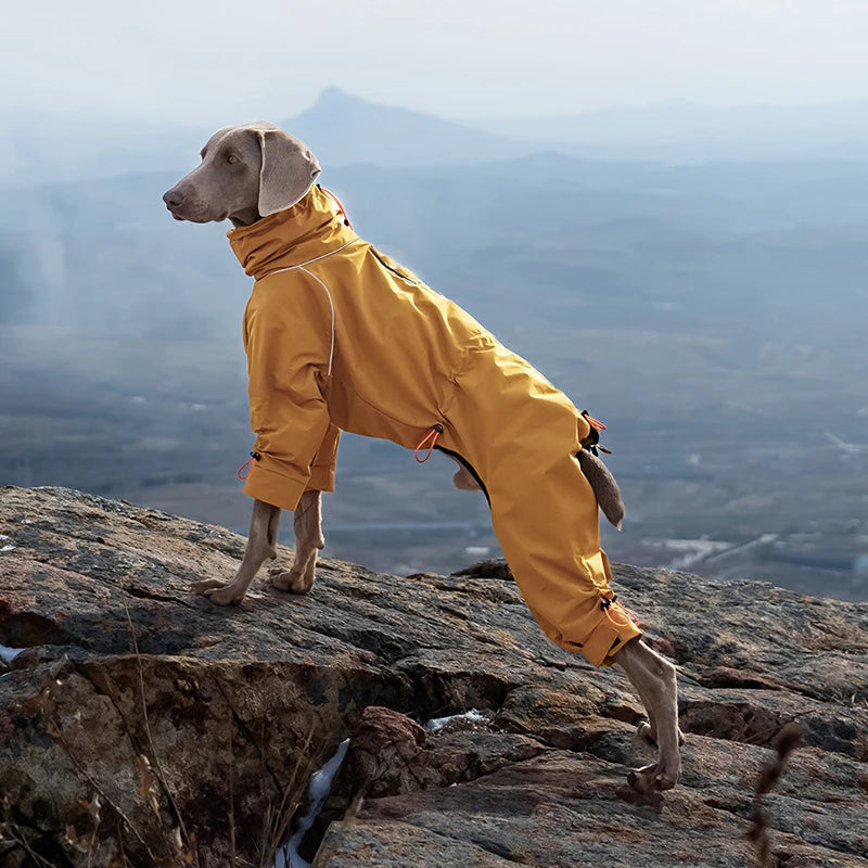 Waterproof Reflective 4-Leg Dog Jacket