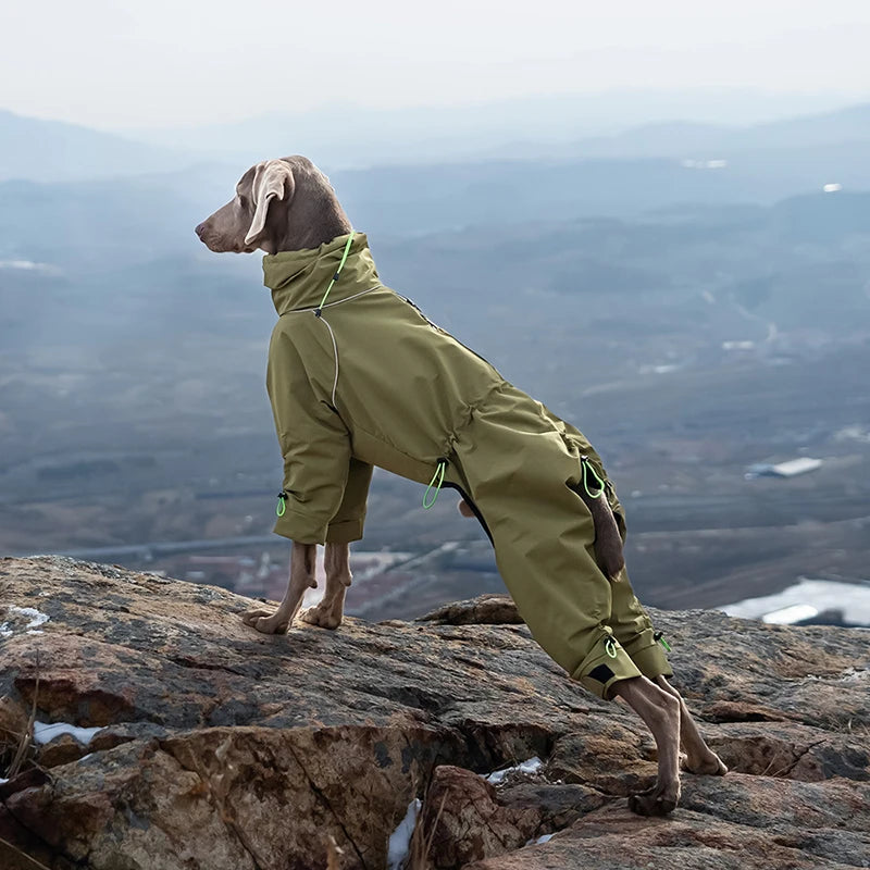 Waterproof Reflective 4-Leg Dog Jacket